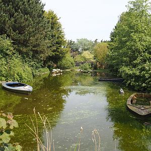 Greater flamingo pond, 2024-05-11