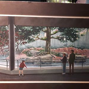 The RainForest Concept Art (1991) - Stormy Island