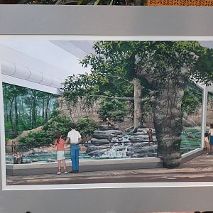 The RainForest Concept Art (1991) - Otter Exhibit