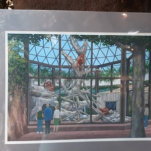 The RainForest Concept Art (1991) - Orangutans