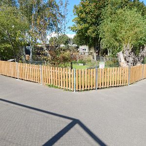 Indochinese smooth-coated exhibit 030924