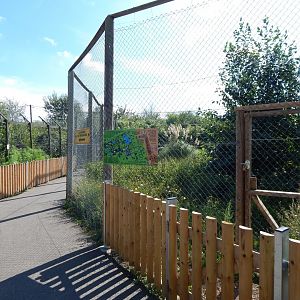 Walkway between Arctic wolf and Chilean flamingo exhibits 030924