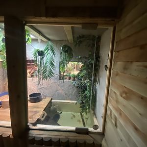 Reptile House - Mixed exhibit 030924