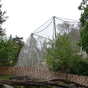 Griffon vulture aviary