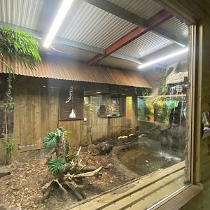 Reptile House - Reticulated python exhibit 030924