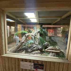 Reptile House - Blood python exhibit 030924