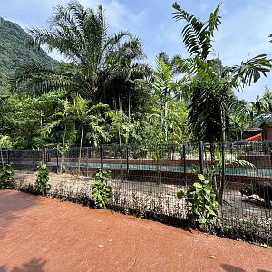 Emu Exhibit - Lost World of Tambun