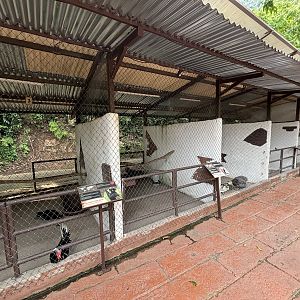 Domestic Fowl Area - Lost World of Tambun