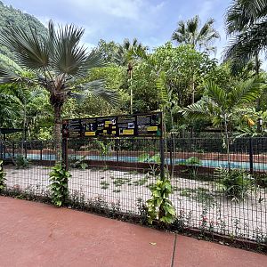 Cassowary Exhibit - Lost World of Tambun