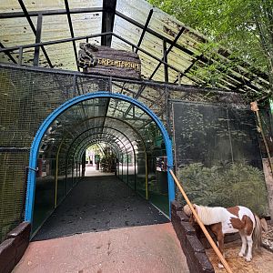 Serpentarium Entrance - Lost World of Tambun