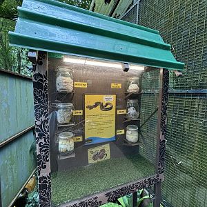 Reticulated Python Display - Lost World of Tambun
