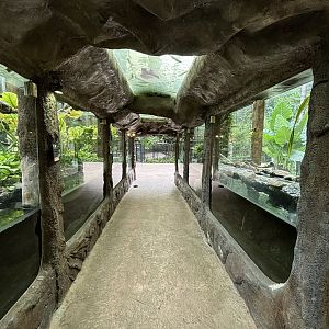 Cobra + Fish Exhibits - Lost World of Tambun