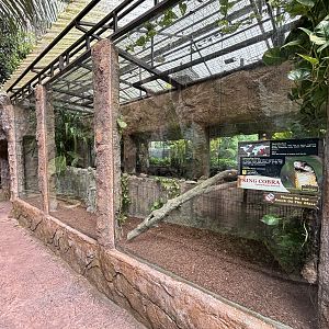 King Cobra Exhibit - Lost World of Tambun