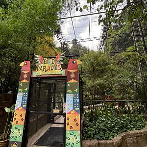 Bird Paradise Aviary - Lost World of Tambun