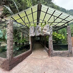 King Cobra + Fish Mixed Exhibit - Lost World of Tambun