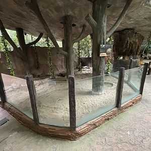 African Spurred Tortoise Exhibit - Lost World of Tambun
