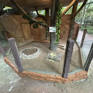 Red-footed Tortoise Exhibit - Lost World of Tambun