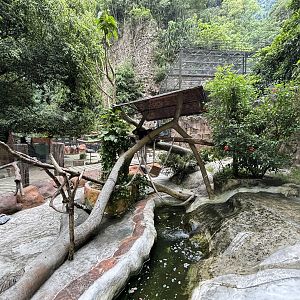 Binturong Exhibit - Lost World of Tambun