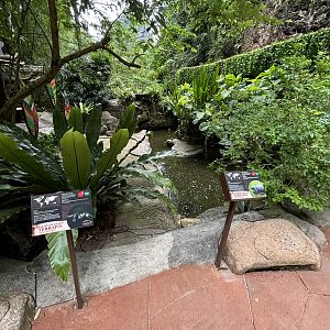 Malayan Giant Terrapin + Northern River Terrapin Exhibit - Lost World of Tambun