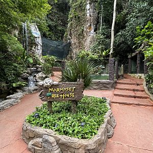 Marmoset Treehouse Path - Lost World of Tambun