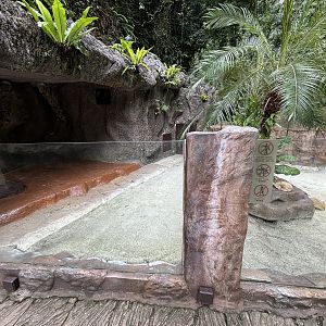 Fennec Fox Exhibit - Lost World of Tambun