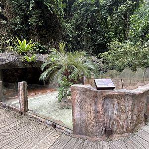 Fennec Fox Exhibit - Lost World of Tambun