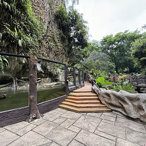 Small-clawed Otter Exhibit - Lost World of Tambun