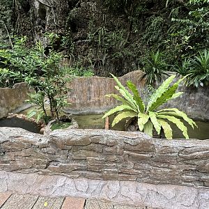 Water Monitor Exhibit - Lost World of Tambun