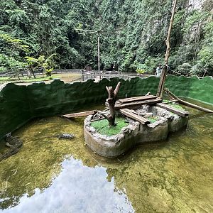 Water Monitor Exhibit - Lost World of Tambun