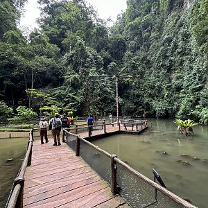Jungle Boardwalk - Lost World of Tambun