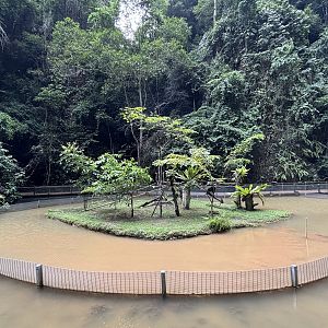 Black-tufted Marmoset Exhibit - Lost World of Tambun