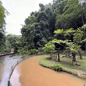 Black-tufted Marmoset Exhibit - Lost World of Tambun