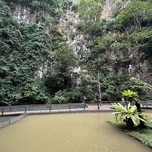 Arapaima Lagoon - Lost World of Tambun