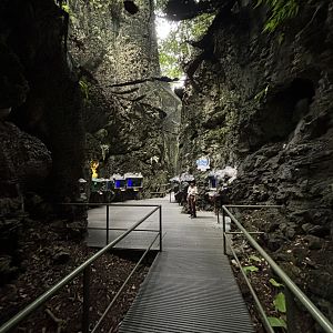 Tarantula Alley - Lost World of Tambun