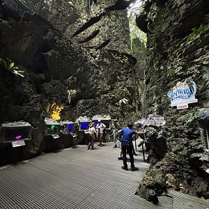 Tarantula Alley - Lost World of Tambun