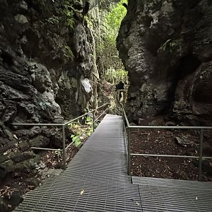Tarantula Alley - Lost World of Tambun