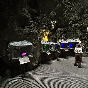 Tarantula Alley - Lost World of Tambun