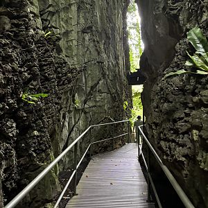 Tarantula Alley - Lost World of Tambun