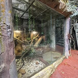 Water Dragon Exhibit - Lost World of Tambun