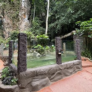Alligator Snapping Turtle Exhibit - Lost World of Tambun