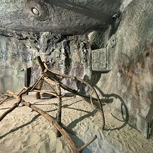 Pangolin Exhibit - Lost World of Tambun