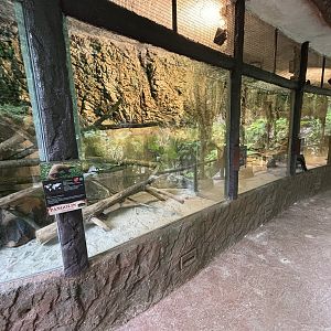 3 Pangolin Exhibits - Lost World of Tambun