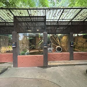 Assorted Reptile Exhibits - Lost World of Tambun