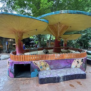 Guinea Pig Exhibit - Lost World of Tambun