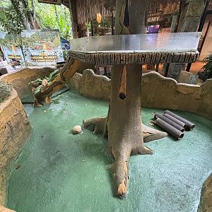 Domestic Ferret Exhibit - Lost World of Tambun