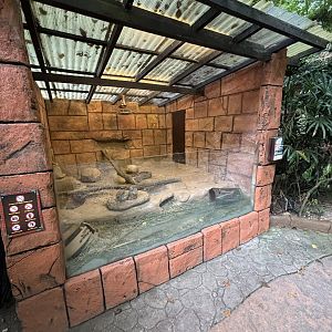 Prairie Dog Exhibit - Lost World of Tambun