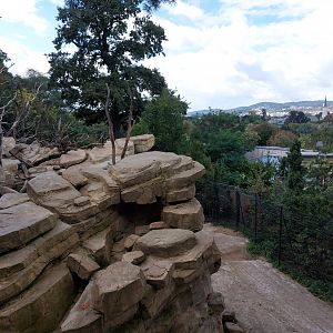 Barbary sheep & macaque enclosure