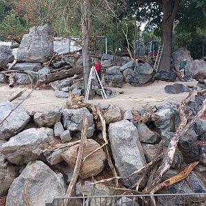 Upcoming thar & takin exhibit