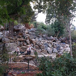 Upcoming thar & takin exhibit