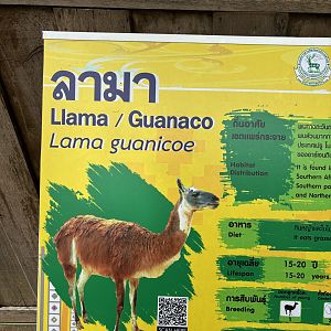 Llama/Guanaco Sign